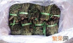 香椿咸菜怎么腌制 香椿芽咸菜怎么腌制