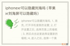 苹果xr刘海屏可以隐藏吗 iphonexr可以隐藏刘海吗