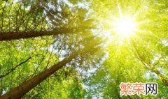 世界地球日是每年的哪一天 世界地球日是每年的4月22日