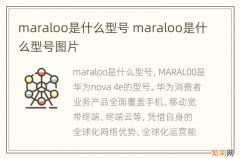maraloo是什么型号 maraloo是什么型号图片