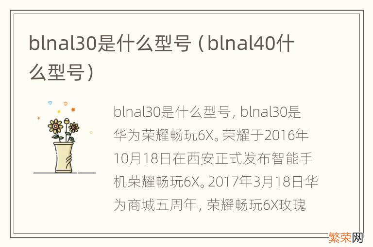 blnal40什么型号 blnal30是什么型号