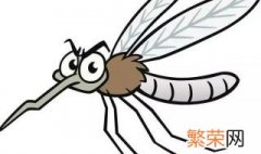 蚊子在生物链中起什么作用 缺少蚊子会有什么后果