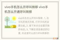 vivo手机怎么开呼叫转移 vivo手机怎么开通呼叫转移