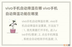 vivo手机自动降温在哪 vivo手机自动降温功能在哪里