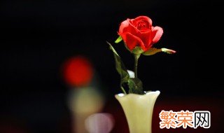 捧花怎么保存久一点 捧花如何保存久一点