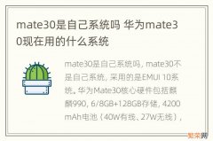 mate30是自己系统吗 华为mate30现在用的什么系统