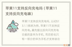 苹果11支持反向充电嘛 苹果11支持反向充电吗