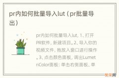 pr批量导出 pr内如何批量导入lut