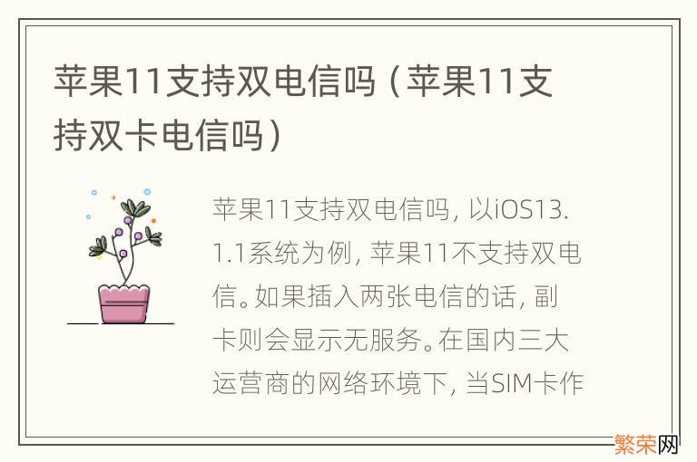 苹果11支持双卡电信吗 苹果11支持双电信吗