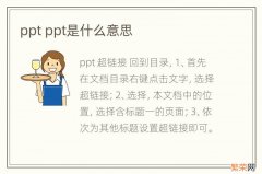 ppt ppt是什么意思