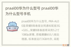 praal00华为什么型号 praal00华为什么型号手机