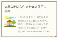 pr怎么删除文件 pr什么文件可以删除