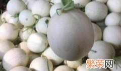 玉菇瓜怎么判断成熟 玉菇瓜判断成熟的方法