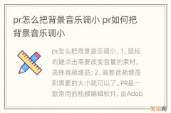 pr怎么把背景音乐调小 pr如何把背景音乐调小