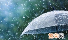 下雨天飞蚁怎么消灭 下雨天飞蚁消灭方式