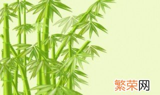 竹寓意和象征 静竹的寓意