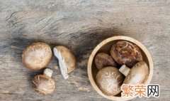 种香菇用什么木头 种香菇用什么木屑