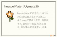 huaweiMate 华为mate30