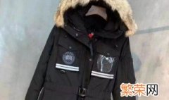 加拿大鹅羽绒服如何清洗 如何清洗加拿大鹅羽绒服