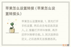 苹果怎么设置转接头 苹果怎么设置转接