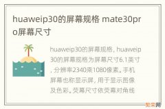 huaweip30的屏幕规格 mate30pro屏幕尺寸