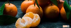 橘子味道的形容词 橘子的气味怎么形容