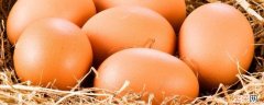 鸡蛋替代品辅食 鸡蛋的替代品有哪些