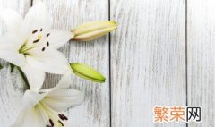 盆栽百合花开败之后剪枝剩多少 百合花开完花之后枝干要不要剪掉