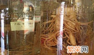 人参泡酒怎么泡 人参泡酒泡的方法