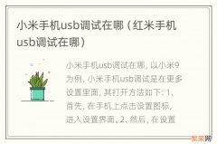 红米手机usb调试在哪 小米手机usb调试在哪