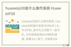 huaweip30是什么操作系统 HuaweiP30