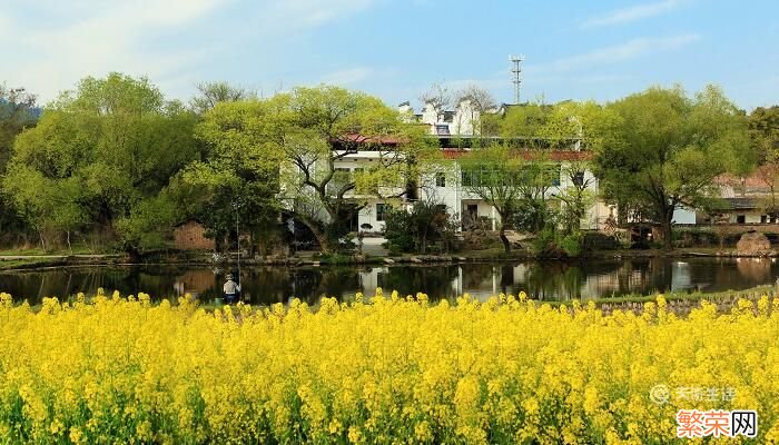 乡村振兴宣传标语 有哪些农村宣传语