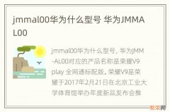 jmmal00华为什么型号 华为JMMAL00