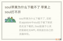 soul苹果为什么下载不了 苹果上soul打不开