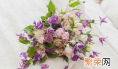 鲜花花语大全 鲜花花语介绍