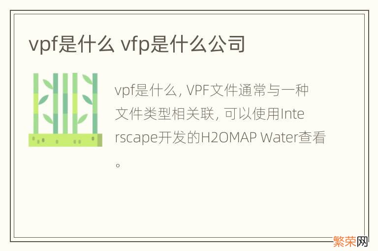 vpf是什么 vfp是什么公司