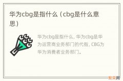 cbg是什么意思 华为cbg是指什么