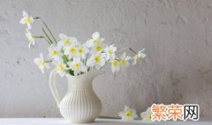 插花水里放盐还是糖 需要注意什么内容呢