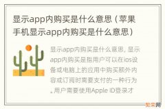 苹果手机显示app内购买是什么意思 显示app内购买是什么意思