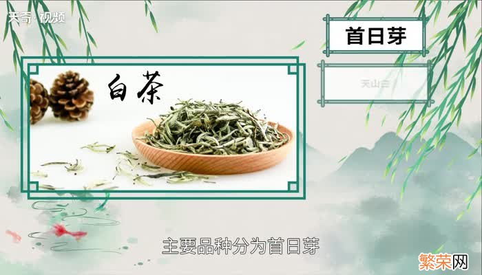 白茶有哪些 中国四大白茶