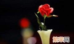 521是什么节日? 521的节日