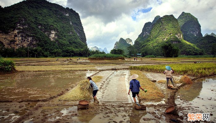 土地流转是什么意思 农村土地流转是什么意思