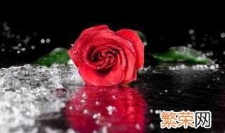 送多少玫瑰的寓意是什么 多少朵玫瑰花代表什么意思