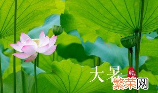 二十四节气之大暑的农业活动 大暑时节的天气特点是什么