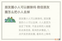 朋友圈小人可以删除吗 微信朋友圈怎么把小人去掉