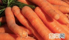 胡萝卜怎么保存 保存胡萝卜的2种方法