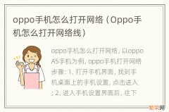 Oppo手机怎么打开网络线 oppo手机怎么打开网络