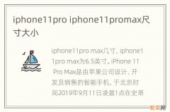 iphone11pro iphone11promax尺寸大小