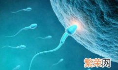 精子存活时间有多长 精子能存活多久