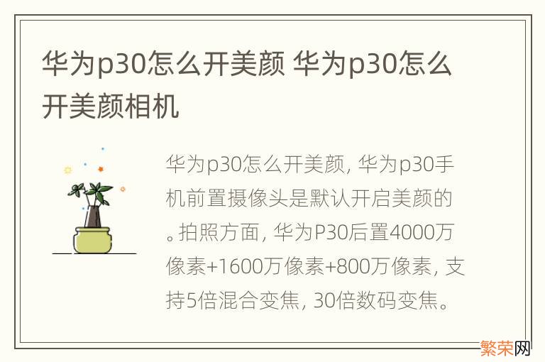 华为p30怎么开美颜 华为p30怎么开美颜相机